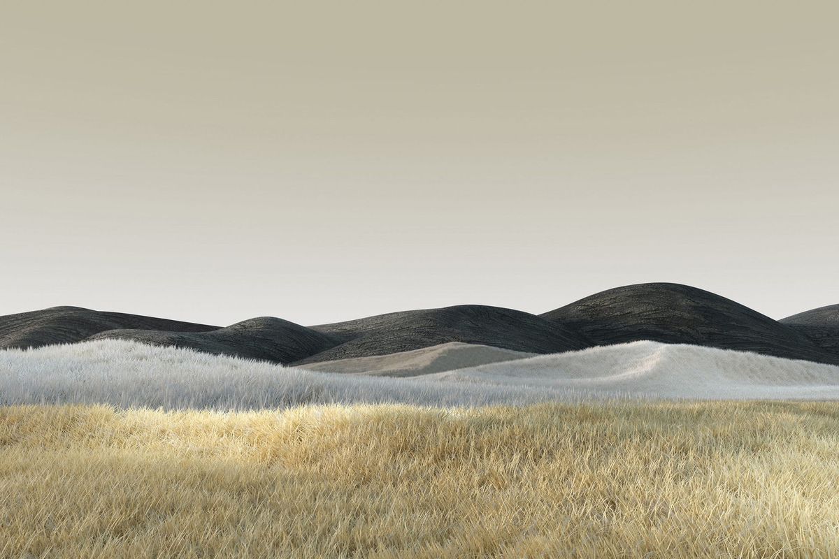 8ff0558118e4532c4e3be6a5b493bd7a