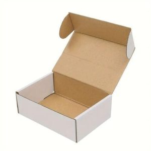 Hộp carton nắp gài 3 lớp Trắng Nâu 1