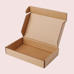 Hộp carton nắp gài 3 lớp size 10