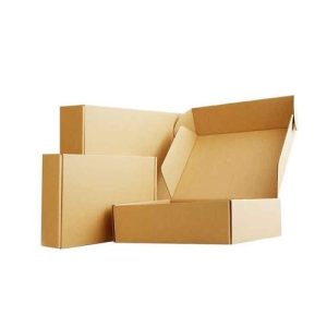 Hộp carton nắp gài 3 lớp size 10 2