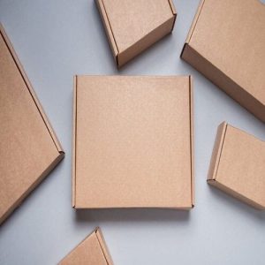 Hộp carton nắp gài 3 lớp size 12 1