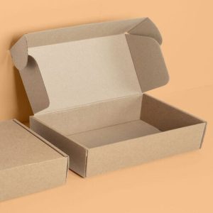 Hộp carton nắp gài 3 lớp size 30 1