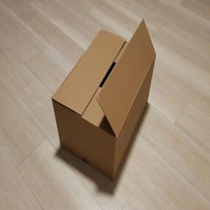 Thùng carton nắp đối 3 lớp size 20 1