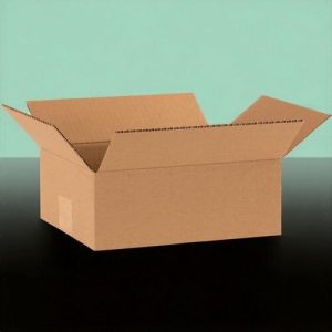 Thùng carton nắp đối 3 lớp size 60 1