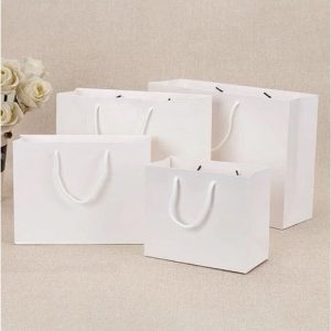 Túi giấy Ivory trắng C01