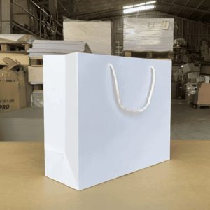 Túi giấy Ivory trắng C01 1