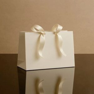 Túi giấy Ivory trắng C02 2
