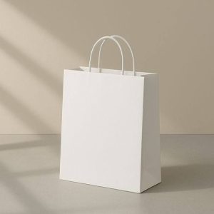 Túi giấy Ivory trắng C03 2