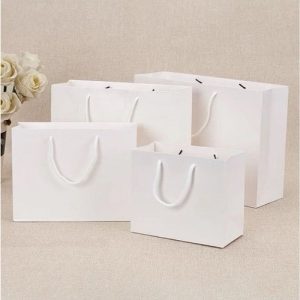 Túi giấy Ivory trắng C06 1