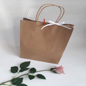 Túi giấy kraft nâu H2 3