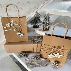 Túi giấy kraft nâu H34B 2