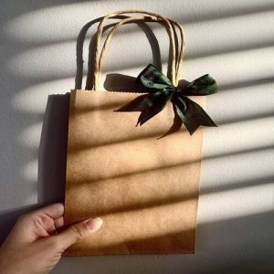 Túi giấy kraft nâu HV5 1