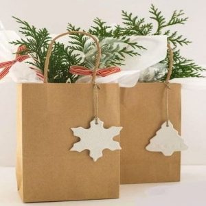 Túi giấy kraft nâu HV5 3