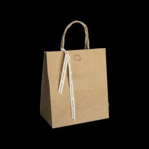 Túi giấy kraft nâu M09 2