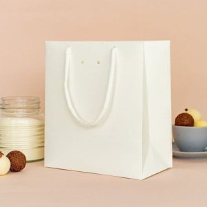 Túi giấy kraft trắng B02 1