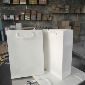 Túi giấy kraft trắng B02 3