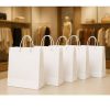 Túi giấy kraft trắng M05