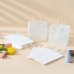 Túi giấy kraft trắng M08 1